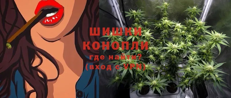 наркота  Болотное  Канабис Ganja 